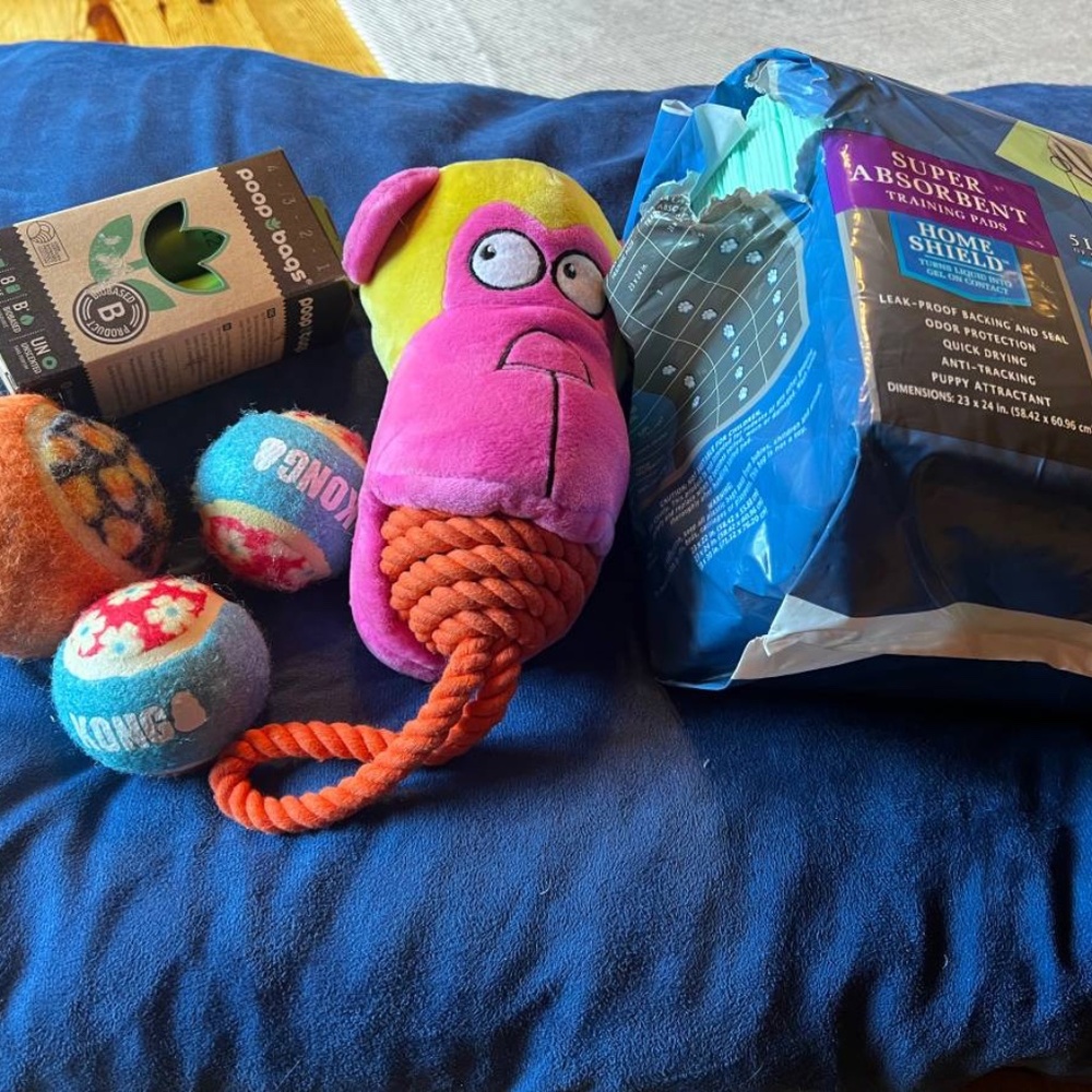 Pooch Pen Pet Bed Puppy Pads Clean Up Bags Kong Balls Toys Bundle 🥳 Host Pick 🥳